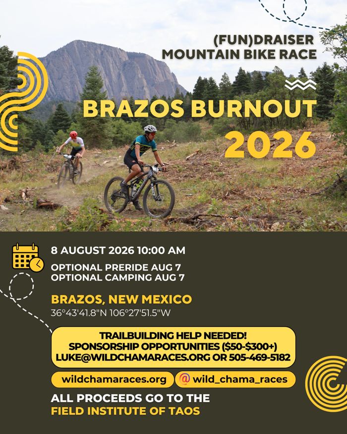 Brazos Burnout 2026 event flyer